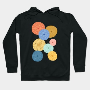 Colorful Sea Urchins 2 Hoodie